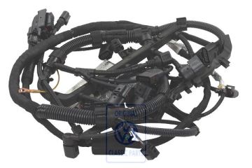 Volkswagen motorkabelboom (AQN)