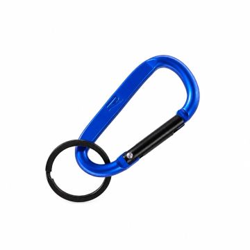 Volkswagen R collectie sleutelhanger