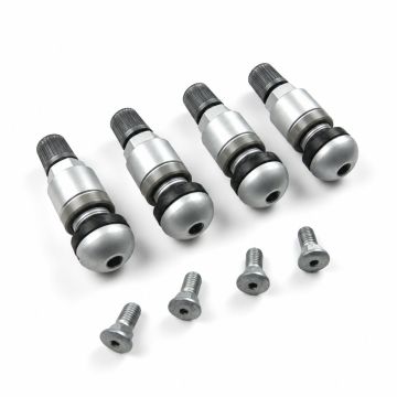 Origineel Audi metalen ventiel