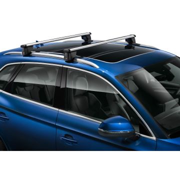Audi e-tron (GE) dakdragers