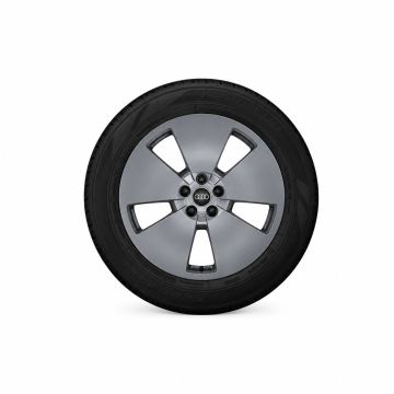 Audi e-tron (GE) velg - grafietgrijs (19 inch)