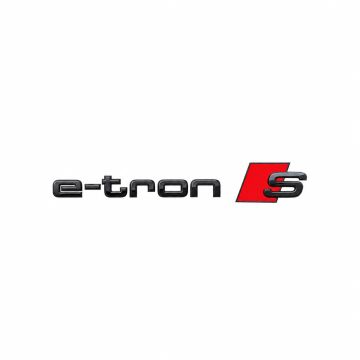 Audi e-tron (GE) embleem