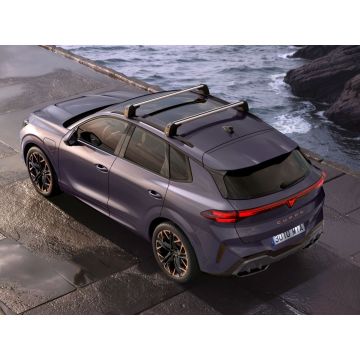 CUPRA Terramar dakdragers