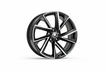 Škoda Karoq (NU) lichtmetalen velg (19 inch)