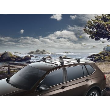 Volkswagen Tiguan 2 (AD1) dakdragers