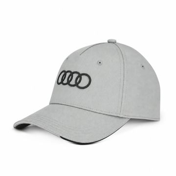 Audi pet grijs