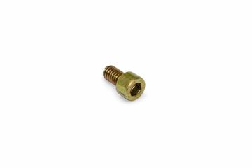 Originele inbusbout (M6X10)
