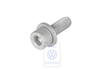 Volkswagen inbusbout brandstof- en vacuümpomp M8x25 (5-cilinder diesel)