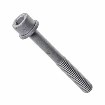 Originele inbusbout met inbus- kop (combi) (M6X50)