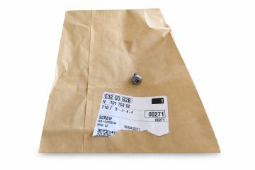 Originele bout met vlakke kop (M6X10)