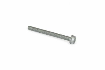 Originele inbuskraagbout met inbuskop (M6X65)