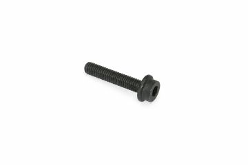Originele inbuskraagbout met inbuskop (M6X30)