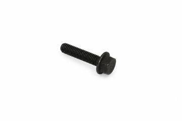 Originele zeskantbout (combi) (M6X25)
