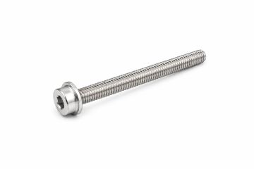 Originele inbus- bout (M6X45)