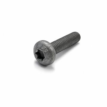 Originele inbusbout met platte kop (M6X25)