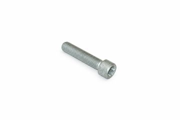 Originele inbusbout met poly-inbuskop (M12X1,5X55)