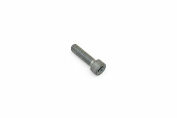 Originele inbusbout met poly-inbuskop (M8X30)