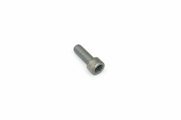 Originele poly-inbusbout (M10X28)