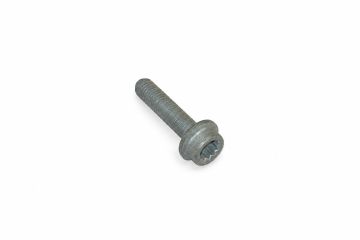 Originele inbuskraagbout met poly-inbuskop (M10X45)