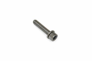Originele inbusbout met poly- inbuskop (combi) (M6X28)