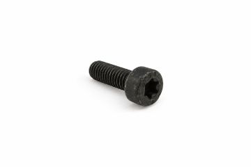 Originele inbus- bout (M6X16)