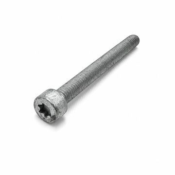 Originele inbusbout (M6X60)