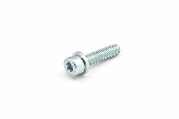 Originele inbus- bout (combi) (M6X25)