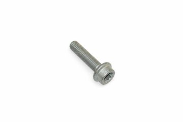 Originele inbusbout met poly- inbuskop (combi) (M10X45)