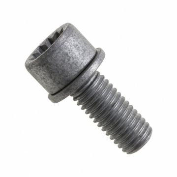 Originele inbusbout met poly- inbuskop (combi) (M10X25)