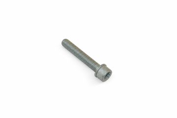 Originele inbusbout met poly- inbuskop (combi) (M10X65)