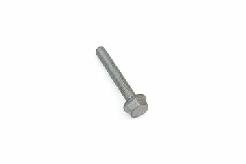Originele zeskantbout met kraag (M10X70)