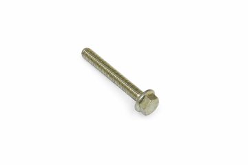 Originele zeskantbout (combi) (M10X75)