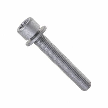 Originele inbusbout met poly- inbuskop (combi) (M12X1,5X75)