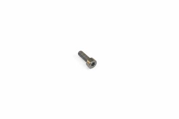 Originele inbus- (M5X15)
