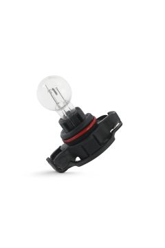 Originele lamphouder met gloeilamp
