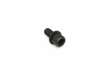 Originele inbusbout met poly- inbuskop (combi) (M10X22)
