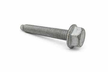 Originele zeskantbout (M8X55)