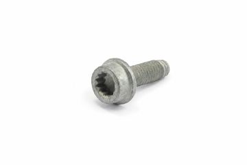 Originele poly-inbusbout (M8X25)