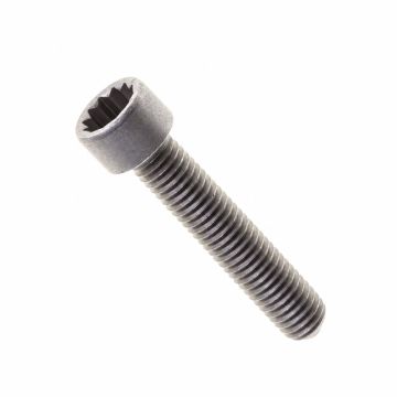 Originele poly-inbusbout (M8X42)
