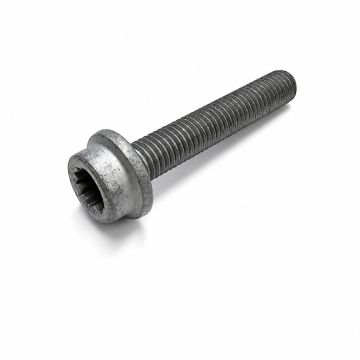 Originele poly-inbusflensbout (M10X58)