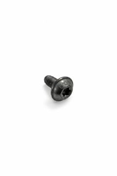 Originele flensbout met inwendige torx (M5X10)