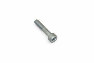 Originele inbusbout met poly-inbuskop (M10X48X26)
