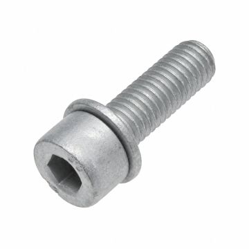 Originele inbusbout met inbus- kop (combi) (M8X25)