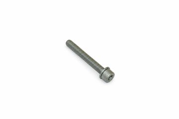 Originele inbusbout met inbus- kop (combi) (M8X60)