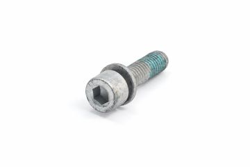 Originele inbusbout met inbus- kop (combi) (M8X30)