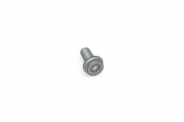 Originele inbusbout met inbus- kop (combi) (M10X1X20)
