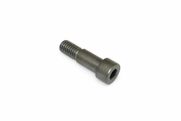 Originele pasbout (M8X8,992X28)