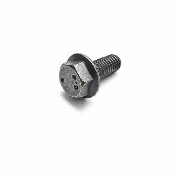 Originele zeskantbout (M6X15)