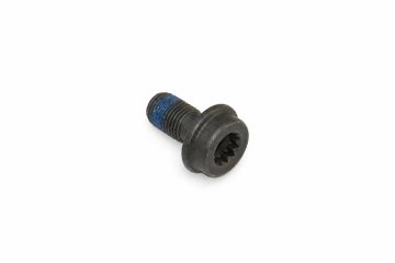 Originele inbusbout (M10X1X19X11)