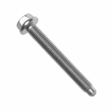 Originele zeskantbout met kraag met binnenzeskant (M7X55)
